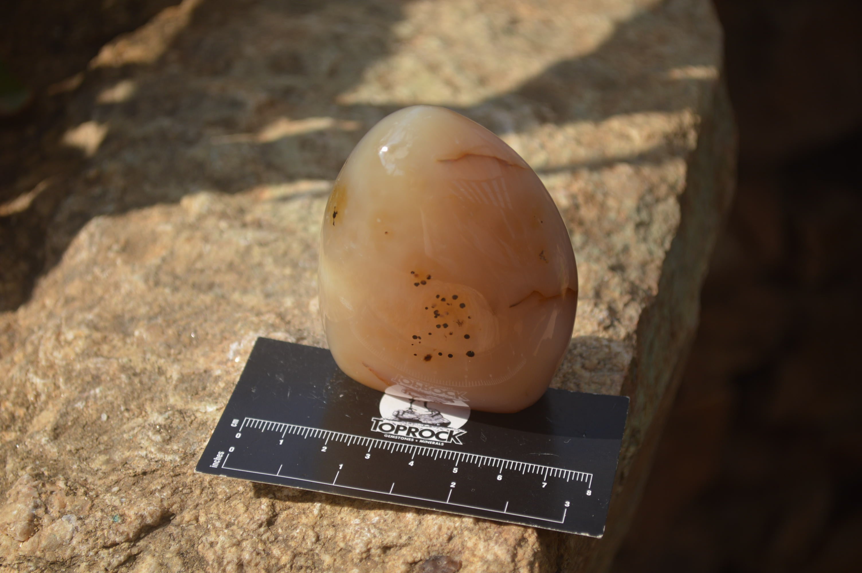 Polished Dendritic Agate Standing Free Forms x 4 From Madagascar - Toprock Gemstones and Minerals 