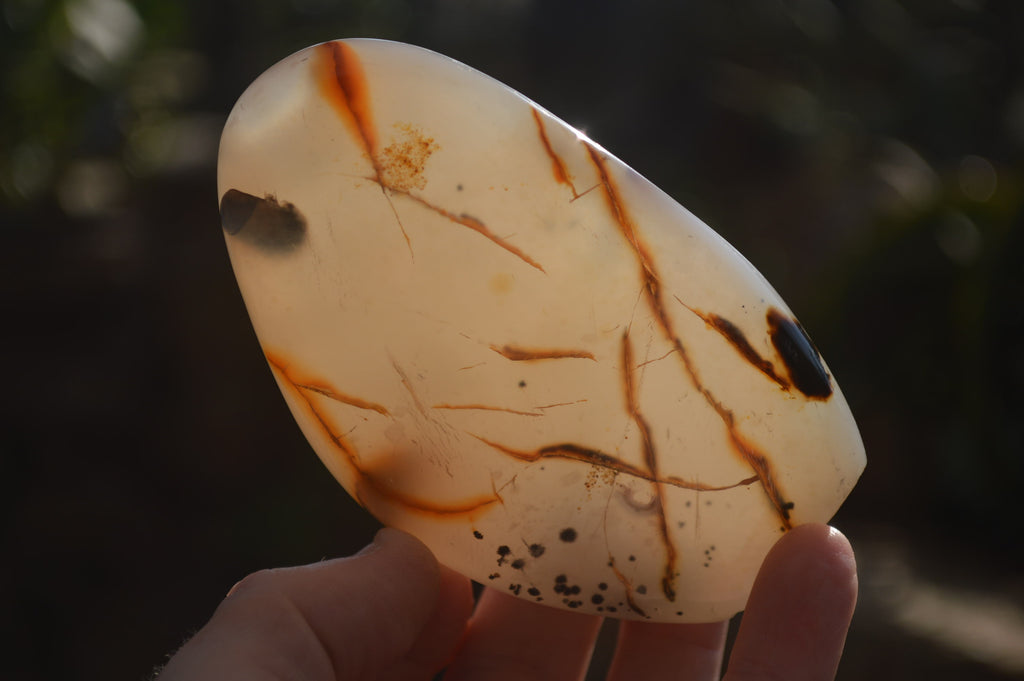 Polished Dendritic Agate Standing Free Forms x 4 From Madagascar - Toprock Gemstones and Minerals 