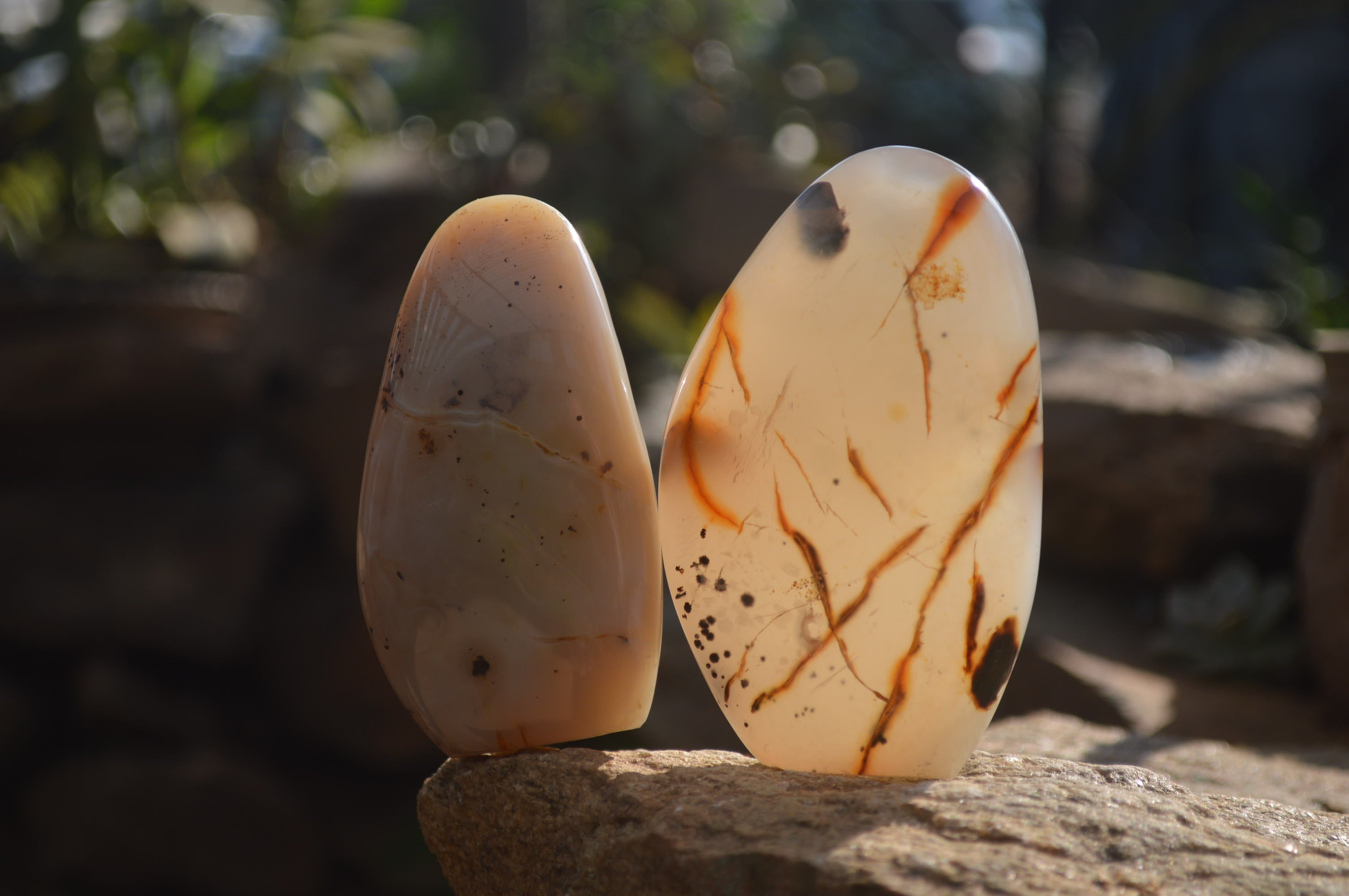 Polished Dendritic Agate Standing Free Forms x 4 From Madagascar - Toprock Gemstones and Minerals 