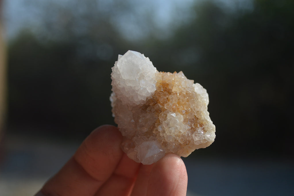 Natural Cactus Flower White Spirit Quartz Crystals and Clusters x 35 From Boekenhouthoek, South Africa - Toprock Gemstones and Minerals 