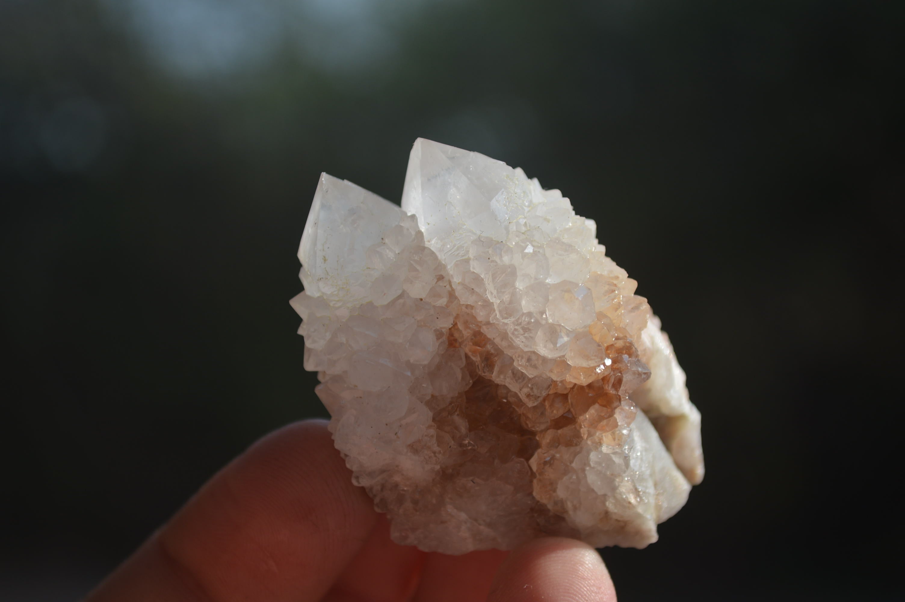 Natural Cactus Flower White Spirit Quartz Crystals and Clusters x 35 From Boekenhouthoek, South Africa - Toprock Gemstones and Minerals 