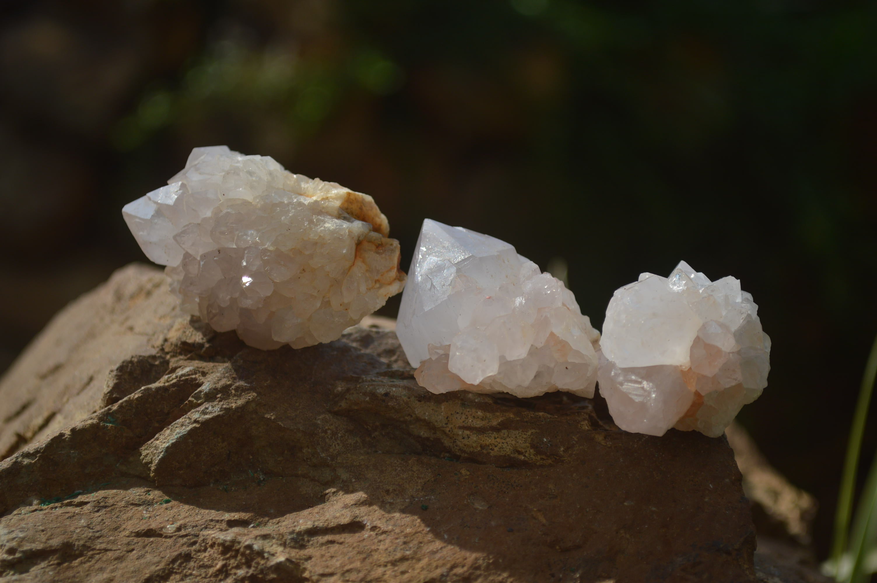 Natural Cactus Flower White Spirit Quartz Crystals and Clusters x 35 From Boekenhouthoek, South Africa - Toprock Gemstones and Minerals 