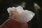 Natural Cactus Flower White Spirit Quartz Crystals and Clusters x 35 From Boekenhouthoek, South Africa - Toprock Gemstones and Minerals 