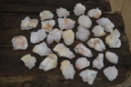 Natural Cactus Flower White Spirit Quartz Crystals and Clusters x 35 From Boekenhouthoek, South Africa - Toprock Gemstones and Minerals 