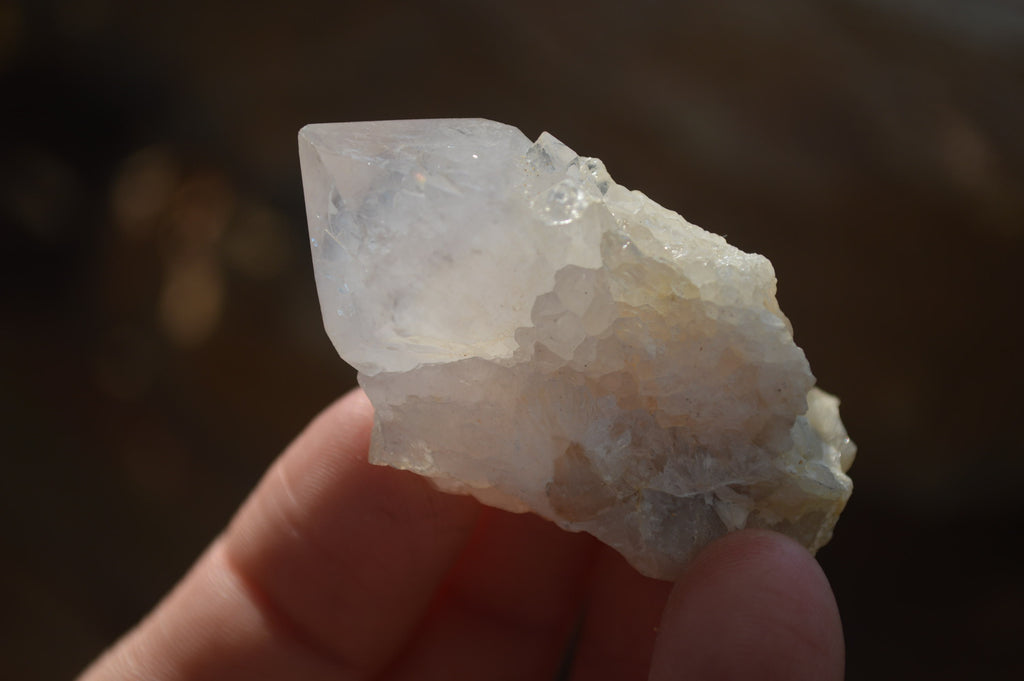 Natural Cactus Flower White Spirit Quartz Crystals and Clusters x 35 From Boekenhouthoek, South Africa - Toprock Gemstones and Minerals 