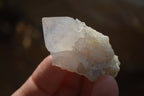 Natural Cactus Flower White Spirit Quartz Crystals and Clusters x 35 From Boekenhouthoek, South Africa - Toprock Gemstones and Minerals 