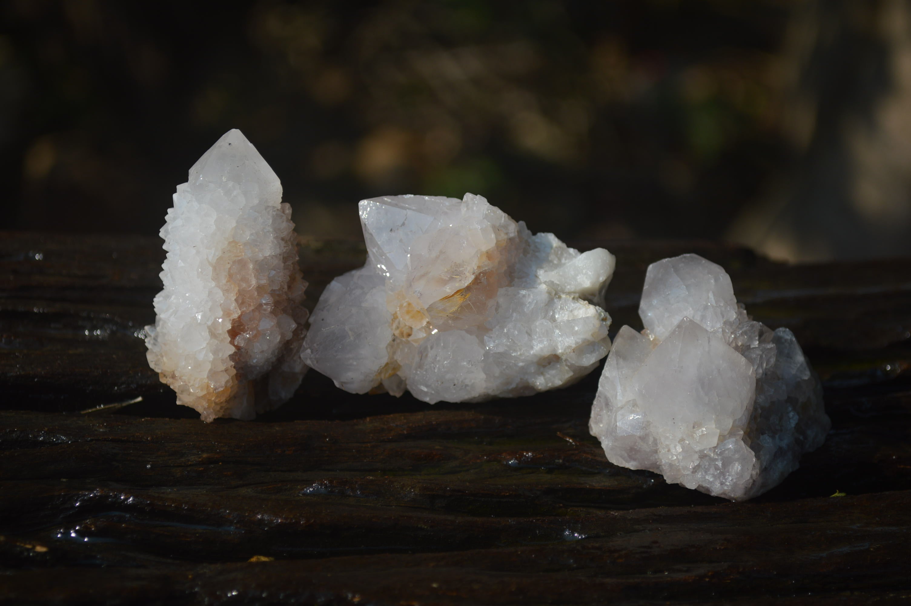 Natural Cactus Flower White Spirit Quartz Crystals and Clusters x 35 From Boekenhouthoek, South Africa - Toprock Gemstones and Minerals 