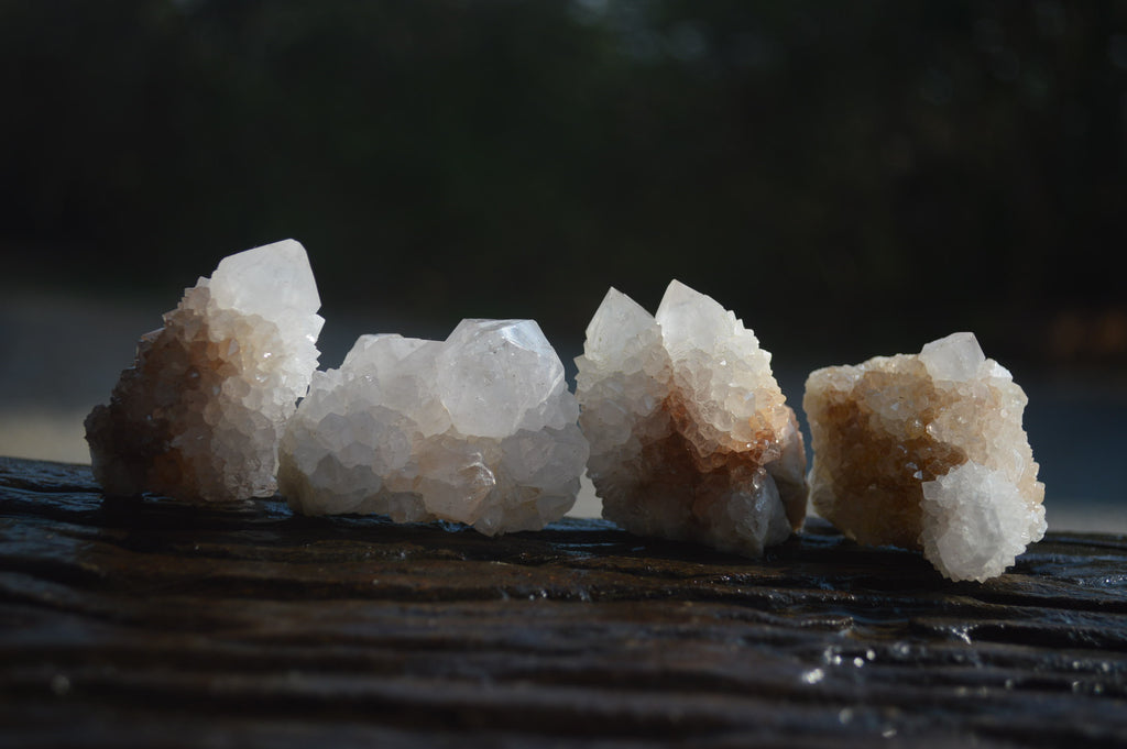 Natural Cactus Flower White Spirit Quartz Crystals and Clusters x 35 From Boekenhouthoek, South Africa - Toprock Gemstones and Minerals 