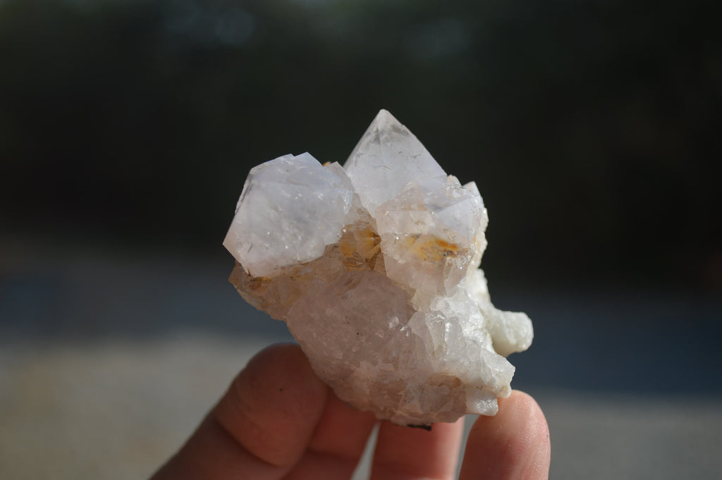 Natural Cactus Flower White Spirit Quartz Crystals and Clusters x 35 From Boekenhouthoek, South Africa - Toprock Gemstones and Minerals 