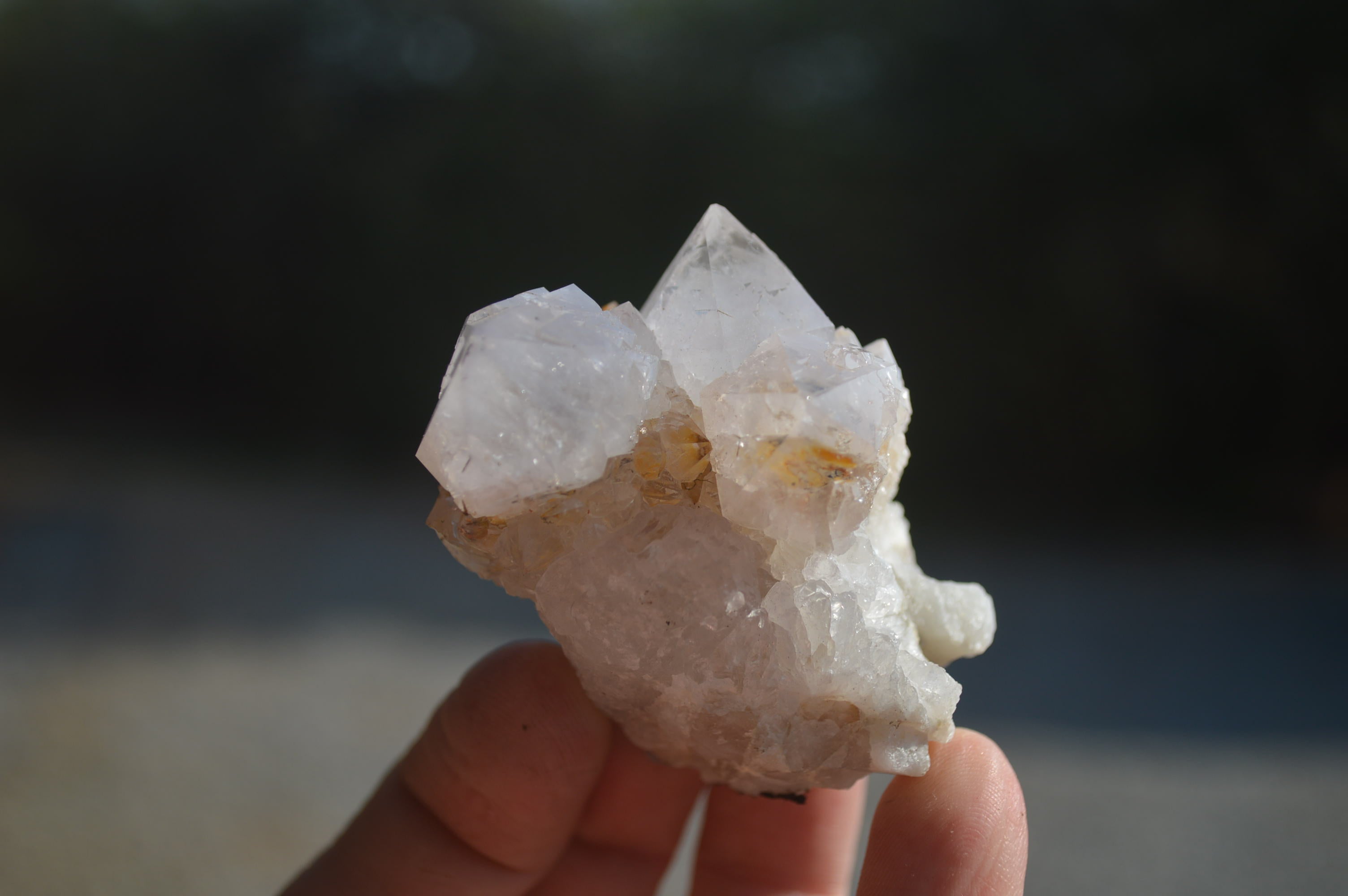 Natural Cactus Flower White Spirit Quartz Crystals and Clusters x 35 From Boekenhouthoek, South Africa - Toprock Gemstones and Minerals 