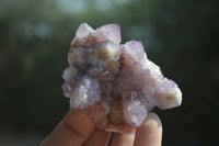 Natural Ametrine Spirit Quartz Clusters x 5 From Boekenhouthoek, South Africa