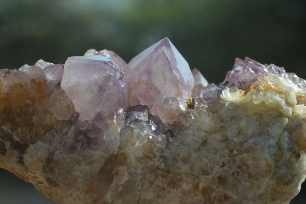 Natural Ametrine Spirit Quartz Clusters x 5 From Boekenhouthoek, South Africa