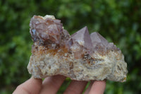 Natural Ametrine Spirit Quartz Clusters x 5 From Boekenhouthoek, South Africa