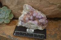 Natural Ametrine Spirit Quartz Clusters x 5 From Boekenhouthoek, South Africa