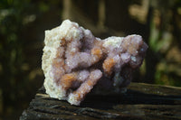 Natural Ametrine Spirit Quartz Clusters x 5 From Boekenhouthoek, South Africa