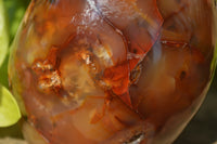 Polished Carnelian Standing Free Form x 2 from Madagascar - Toprock Gemstones and Minerals 