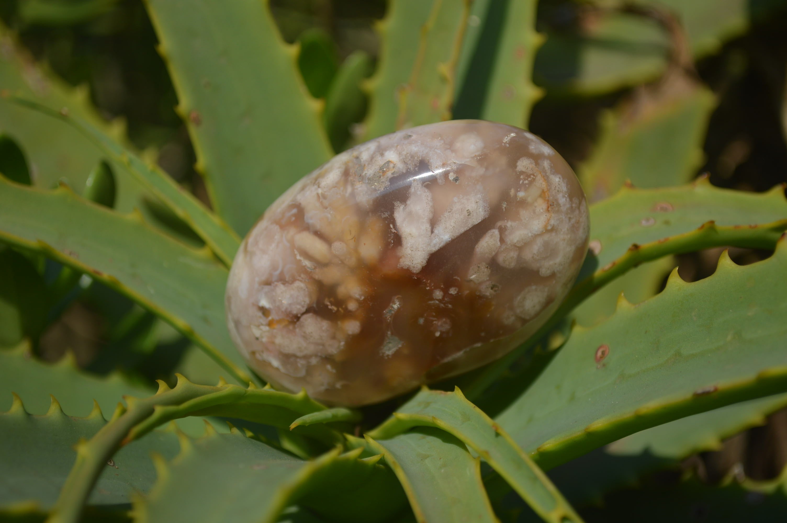 Polished Flower Agate Galet-Palm Stones x 12 From Antsahalova, Madagascar - Toprock Gemstones and Minerals 