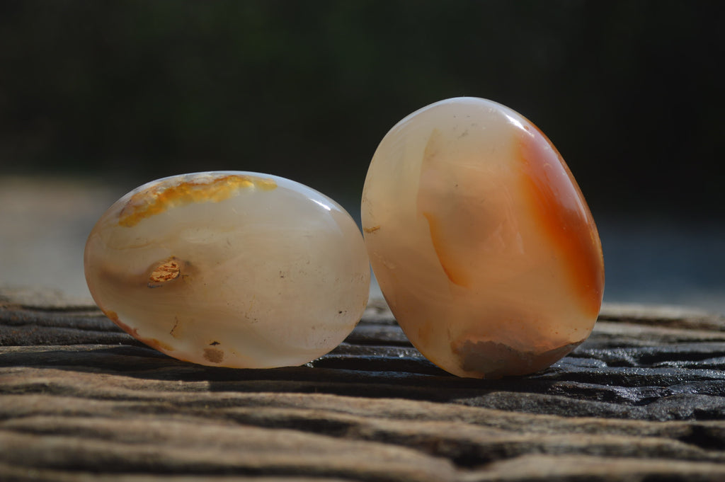 Polished Flower Agate Galet-Palm Stones x 12 From Antsahalova, Madagascar - Toprock Gemstones and Minerals 