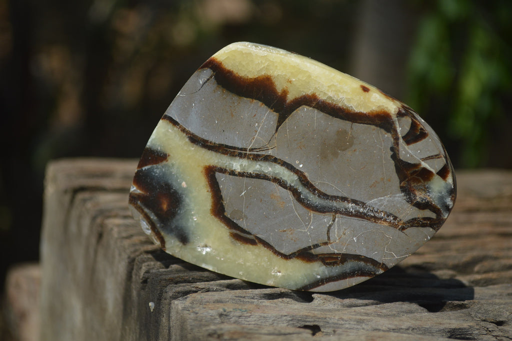 Polished Septerye Slices x 12 From Mahajanga, Madagascar - Toprock Gemstones and Minerals 