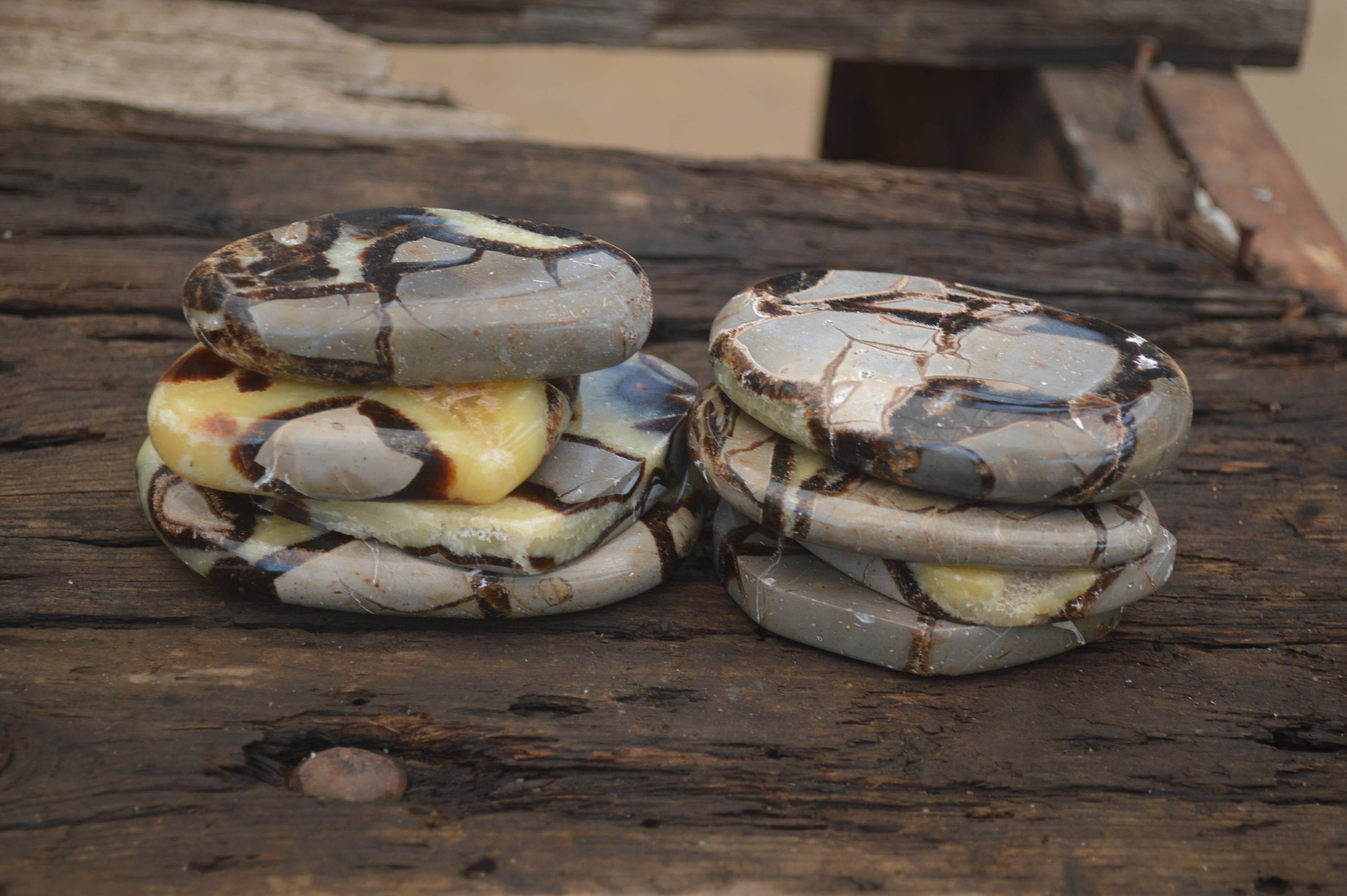 Polished Septerye Slices x 12 From Mahajanga, Madagascar - Toprock Gemstones and Minerals 