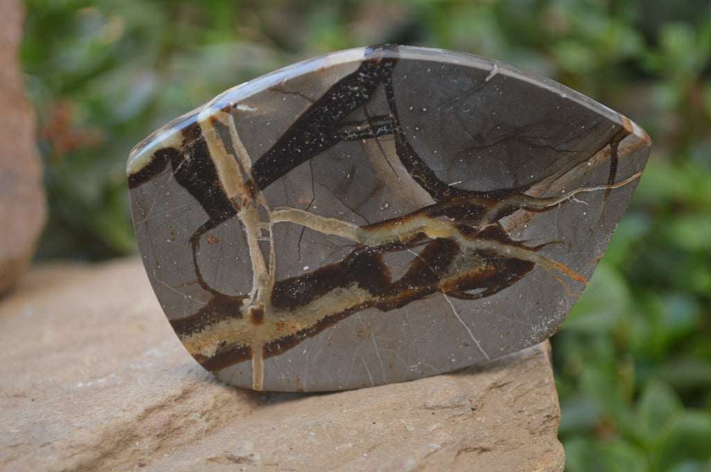 Polished Septerye Slices x 12 From Mahajanga, Madagascar - Toprock Gemstones and Minerals 