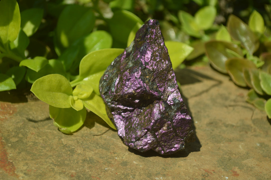 Natural Metallic Purpurite Cobbed Specimens x 6 From Erongo, Namibia - Toprock Gemstones and Minerals 