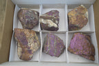 Natural Metallic Purpurite Cobbed Specimens x 6 From Erongo, Namibia - Toprock Gemstones and Minerals 