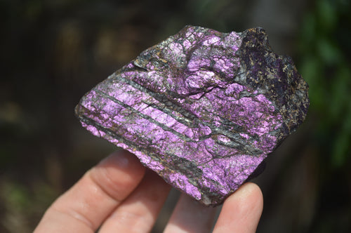 Natural Metallic Purpurite Cobbed Specimens x 6 From Erongo, Namibia - Toprock Gemstones and Minerals 