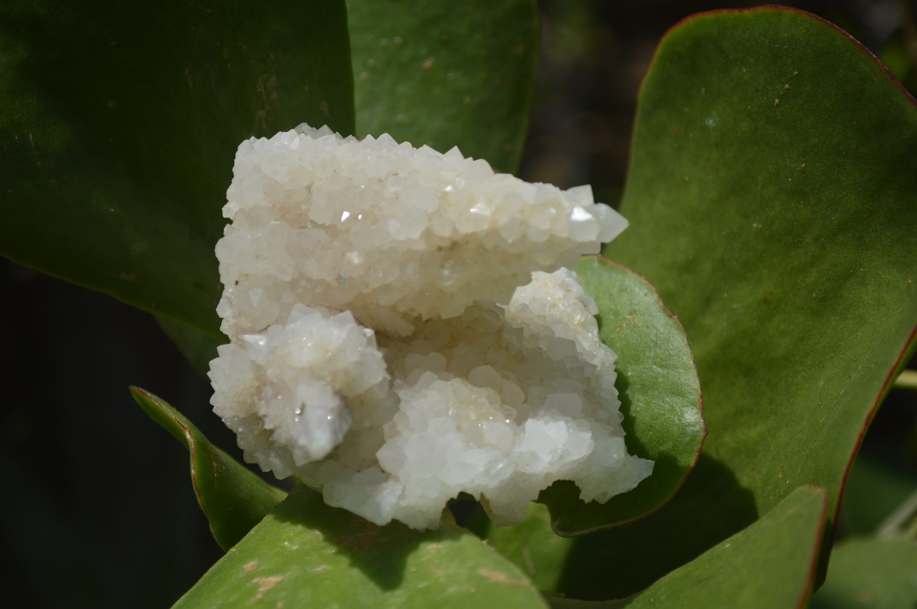 Natural Drusy Quartz Coated Calcite Pseudomorph Specimens x 7 From Alberts Mountain, Lesotho - Toprock Gemstones and Minerals 