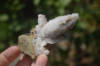 Natural Drusy Quartz Coated Calcite Pseudomorph Specimens x 7 From Alberts Mountain, Lesotho - Toprock Gemstones and Minerals 