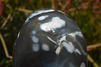 Polished Snow / Orca Agate Standing Free Forms x 1 From West Coast, Madagascar - Toprock Gemstones and Minerals 