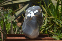 Polished Snow / Orca Agate Standing Free Forms x 1 From West Coast, Madagascar - Toprock Gemstones and Minerals 
