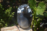 Polished Snow / Orca Agate Standing Free Forms x 1 From West Coast, Madagascar - Toprock Gemstones and Minerals 