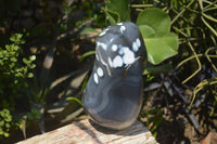 Polished Snow / Orca Agate Standing Free Forms x 1 From West Coast, Madagascar - Toprock Gemstones and Minerals 