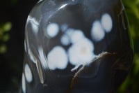 Polished Snow / Orca Agate Standing Free Forms x 1 From West Coast, Madagascar - Toprock Gemstones and Minerals 