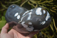 Polished Snow / Orca Agate Standing Free Forms x 1 From West Coast, Madagascar - Toprock Gemstones and Minerals 