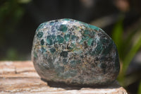 Polished Rare Emerald Mica In Matrix Free Forms x 12 From Mutoko, Zimbabwe - Toprock Gemstones and Minerals 