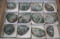 Polished Rare Emerald Mica In Matrix Free Forms x 12 From Mutoko, Zimbabwe - Toprock Gemstones and Minerals 