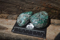 Polished Rare Emerald Mica In Matrix Free Forms x 12 From Mutoko, Zimbabwe - Toprock Gemstones and Minerals 
