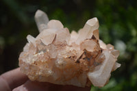 Natural Quartz Cluster Specimens x 6 From Madagascar - Toprock Gemstones and Minerals 