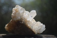 Natural Quartz Cluster Specimens x 6 From Madagascar - Toprock Gemstones and Minerals 