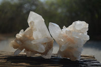 Natural Quartz Cluster Specimens x 6 From Madagascar - Toprock Gemstones and Minerals 