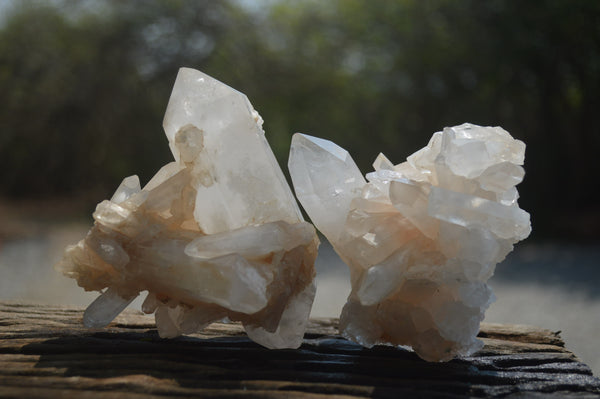 Natural Quartz Cluster Specimens x 6 From Madagascar - Toprock Gemstones and Minerals 