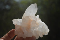 Natural Quartz Cluster Specimens x 6 From Madagascar - Toprock Gemstones and Minerals 