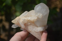 Natural Quartz Cluster Specimens x 6 From Madagascar - Toprock Gemstones and Minerals 