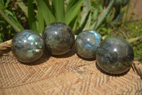 Polished Labradorite Spheres x 4 From Tulear, Madagascar - Toprock Gemstones and Minerals 