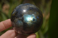Polished Labradorite Spheres x 4 From Tulear, Madagascar - Toprock Gemstones and Minerals 