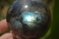 Polished Labradorite Spheres x 4 From Tulear, Madagascar - Toprock Gemstones and Minerals 