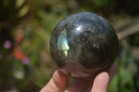 Polished Labradorite Spheres x 4 From Tulear, Madagascar - Toprock Gemstones and Minerals 