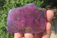 Polished On One Side Metallic Purpurite x 6 From Namibia - Toprock Gemstones and Minerals 